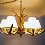 Szálloda Design Alpenliebe - - - - Boutique-flair - - - - 5*